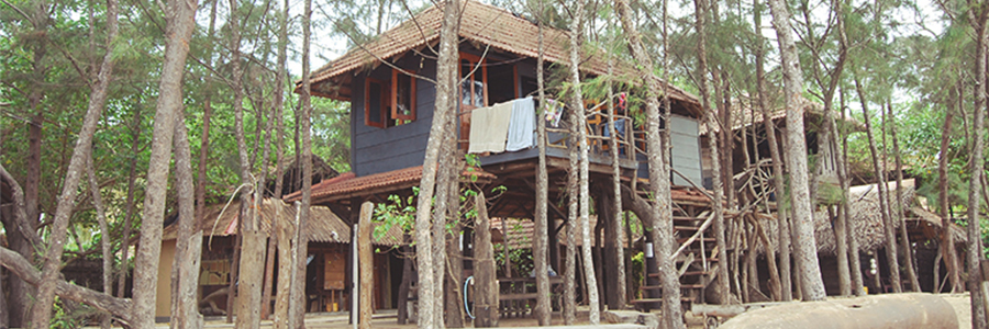 beach hut tree house